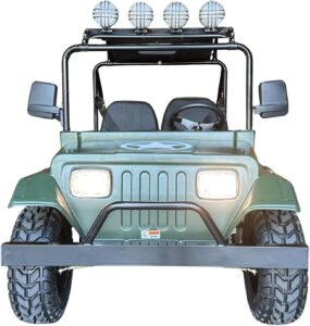 Image 1 of buy 200cc safari go kart