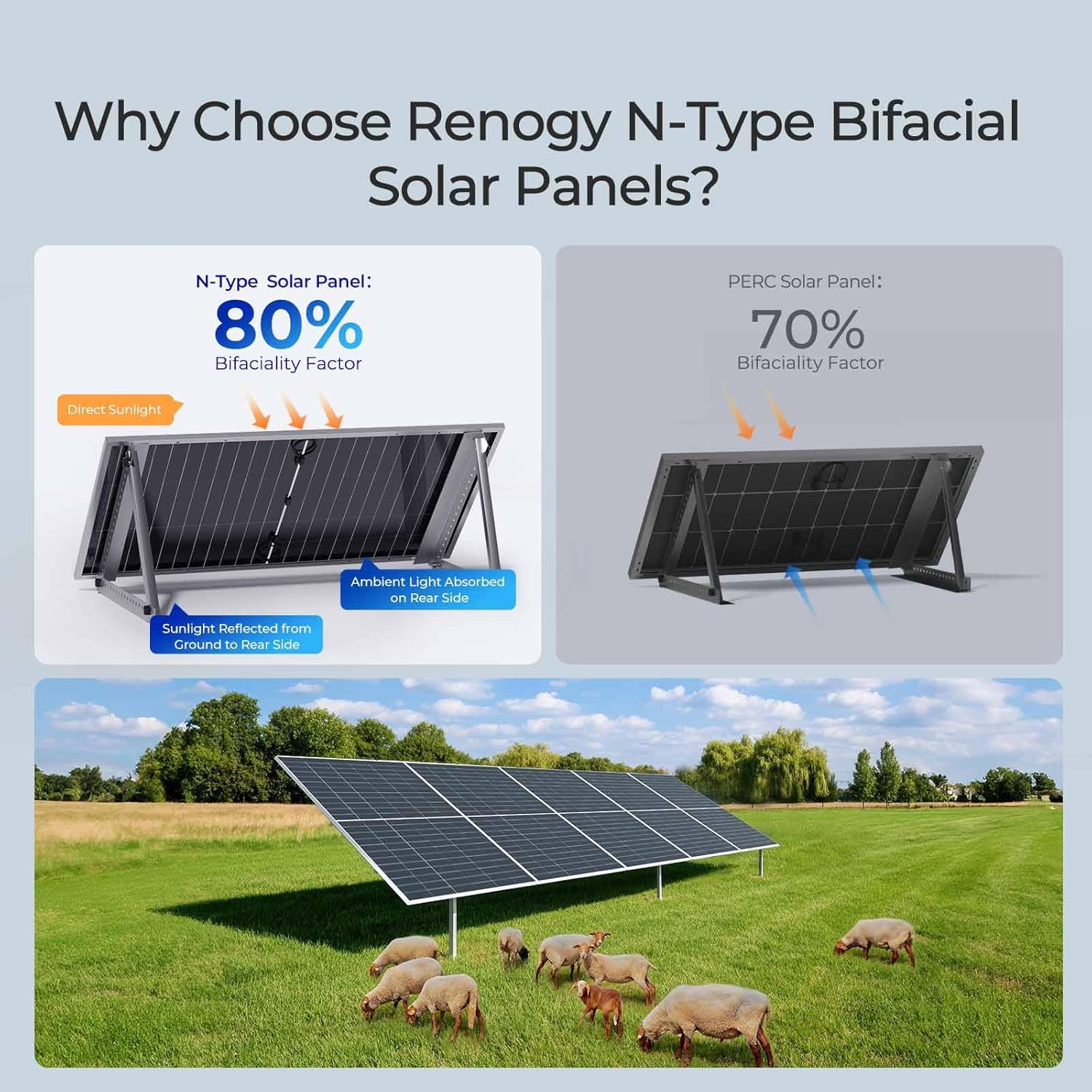 Step-by-step guide for buy Renogy 590W bifacial solar panel,Renogy 590W solar panel pros cons,bifacial solar panel worth buying,best 590 watt solar panel for home,Renogy N-type vs PERC comparison,should I buy Renogy bifacial panels - complete tutorial