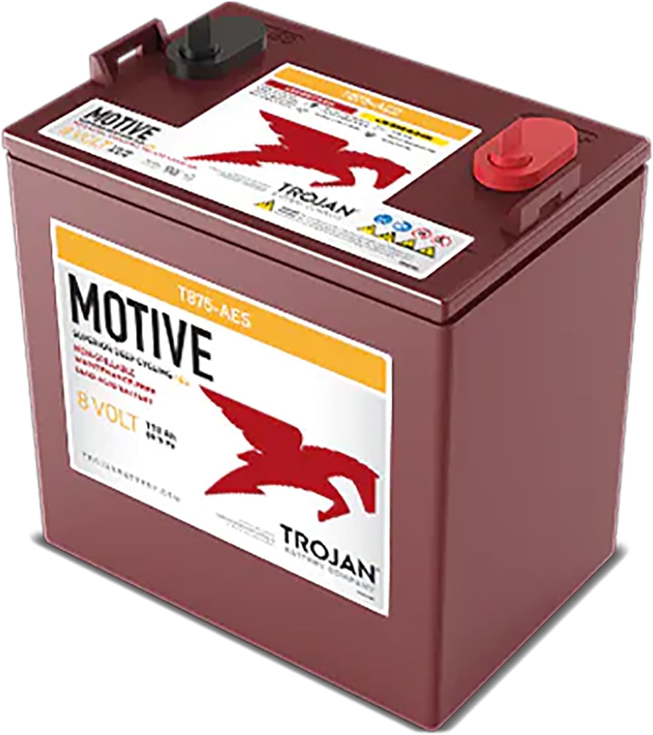buy Trojan T875-AES 8V batteries,Trojan T875-AES 8V deep cycling AGM,best AGM golf cart batteries,Trojan T875-AES vs T-875 differences,Trojan T875-AES worth buying,should I buy Trojan T875-AES 8V unboxing and complete package contents