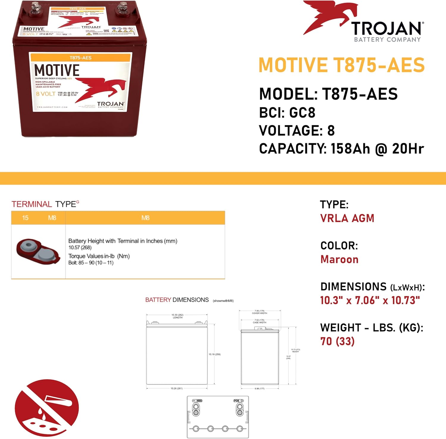 buy Trojan T875-AES 8V battery pack,Trojan T875-AES vs other deep cycle batteries,best 8V battery for off-grid solar,Trojan T875-AES pros cons,should I buy Trojan T875-AES pack of 6,Trojan T875-AES worth buying unboxing and complete package contents