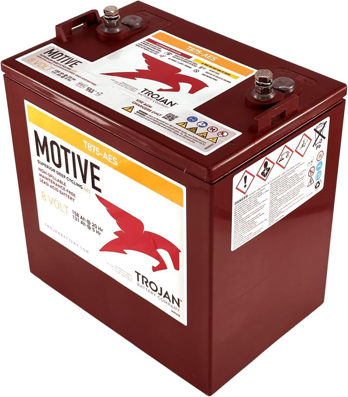 buy Trojan T875-AES 8V battery pack,Trojan T875-AES vs other deep cycle batteries,best 8V battery for off-grid solar,Trojan T875-AES pros cons,should I buy Trojan T875-AES pack of 6,Trojan T875-AES worth buying performance testing and real-world results
